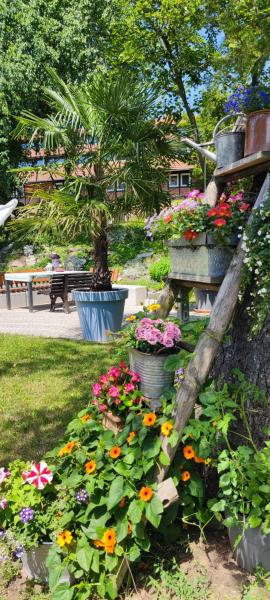 Apartment im Grünen mit Anbindung ans Zentrum